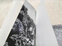 洋書画集　ベルナール・ビュフェ　シャトー・ラルクの礼拝堂壁画