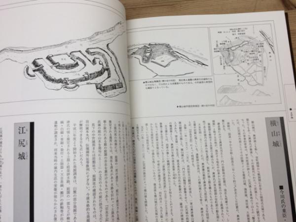 図説 駿河・伊豆の城【大型本/小和田哲男 監修】(小和田哲男