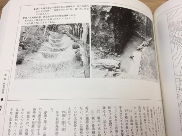 図説 駿河・伊豆の城【大型本/小和田哲男 監修】(小和田哲男