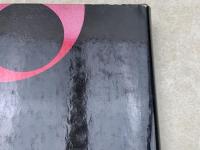 洋書　国際文学現象としての表現主義