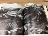 南氷洋の捕鯨 吉川直身写真集