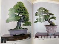 伝承の盆栽名品撰　盆栽世界別冊