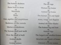 洋書　骨格