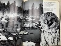 洋書　フィンランド/クーサモ　写真集
