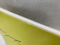 陽光のように 池田満寿夫自選画集 8人の詩人によるオマージュ(池田