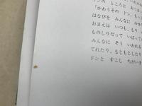 かわうそドンのはなび