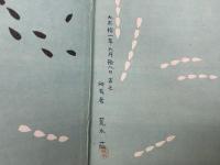 校訂　少年日露戦史