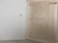 支那南北記