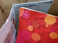 大道芸ワールドカップin静岡 公式ガイド10冊+写真集