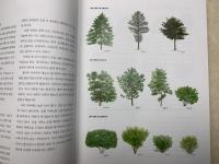 洋書　樹木図鑑　第1巻