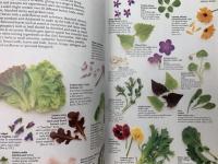 洋書　THE COMPLETE BOOK OF HERBS