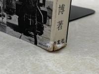 懐想の蒸気機関車