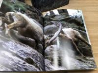 野生の動物+野生の鳥【オーデュボンソサイエティブック】