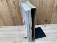 東莱福泉洞古墳群1 本文 図面 図版　2冊/ハングル表記/韓国