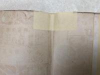春の生物  観察図絵 教室文庫