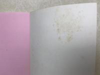 イタペチ山脈は見ていた