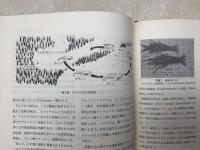 えび　知識とノウハウ