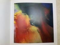 洋書図録　igor gorsky