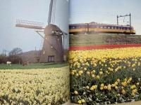 洋書　オランダ　チューリップ写真集