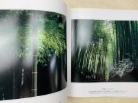 竹百態　高間新治写真集