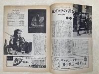 映画パンフレット　嵐の中の青春