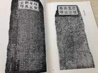 比田井天来の書+比田井抱琴作品集【大型本】