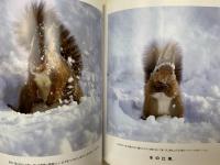 森で出会う。　動物たちの四季