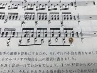 原典カルカッシギター教則本