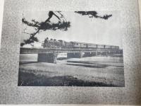 行幸記念写真帖　静岡市