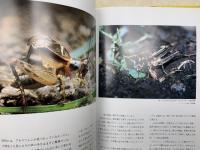 日本の秋の虫