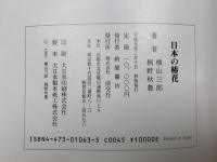 日本の椿花