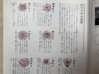 日本の椿花