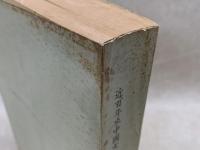 近百年来中国文文献現在書目
