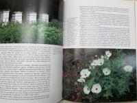 洋書　ケンブリッジ大学の庭
