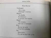 洋書　Mat Hekid O Ju/When it Rains　パパゴ族とピマ族の詩