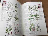 学習コンピュータ植物図鑑 全4巻揃