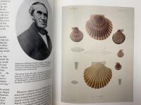 洋書　アメリカ合衆国探検遠征隊　MAGNIFICENT VOYAGERS　1838-1842