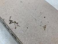 殿岡漱石翁哀悼録