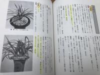 春蘭　日本春蘭・中国春蘭+名品の鑑賞と栽培+5