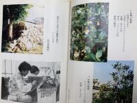 蜜蜂と共に