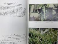 総天然色 日本の薬用植物 Vol.1・2　2冊