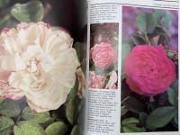 洋書　My wolrd of old roses volume 2