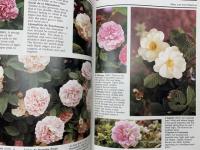 洋書　My wolrd of old roses volume 2