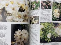 洋書　My wolrd of old roses volume 2