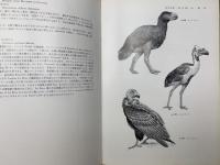 脊椎動物図鑑