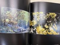 洋書　馬電飛　台湾名家美術水彩100