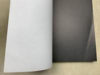 画家たちと戦争　彼らはいかにして生きぬいたのか展