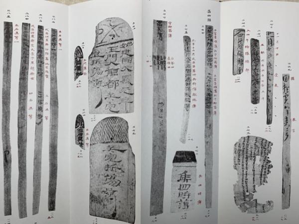 西域出土の木簡と残紙 全二冊(比田井南谷) / 太田書店(株