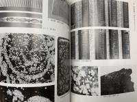 漆工史　第17号　1994年12月