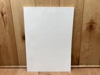 図録　特別展 単彩画 ひとつの色の多彩な世界